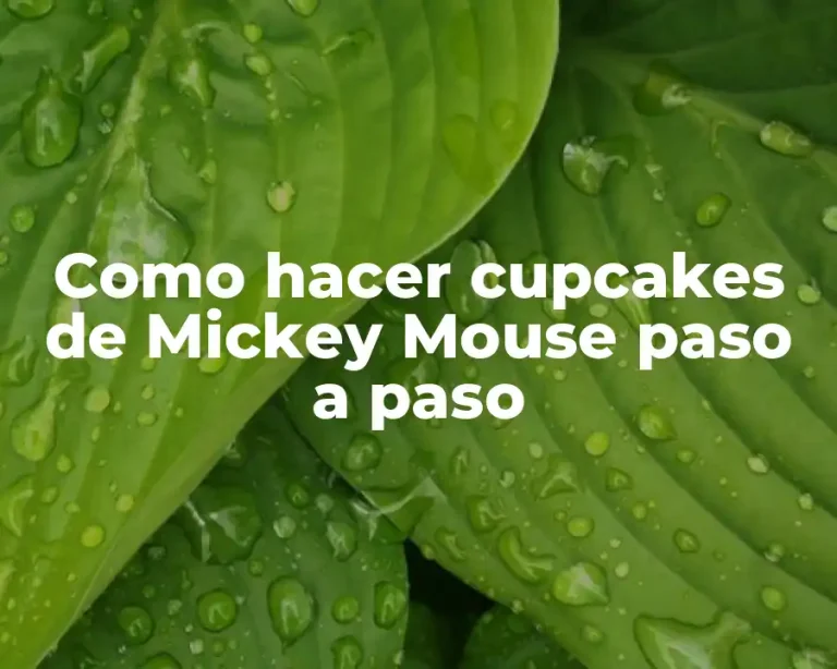 Como hacer cupcakes de Mickey Mouse paso a paso