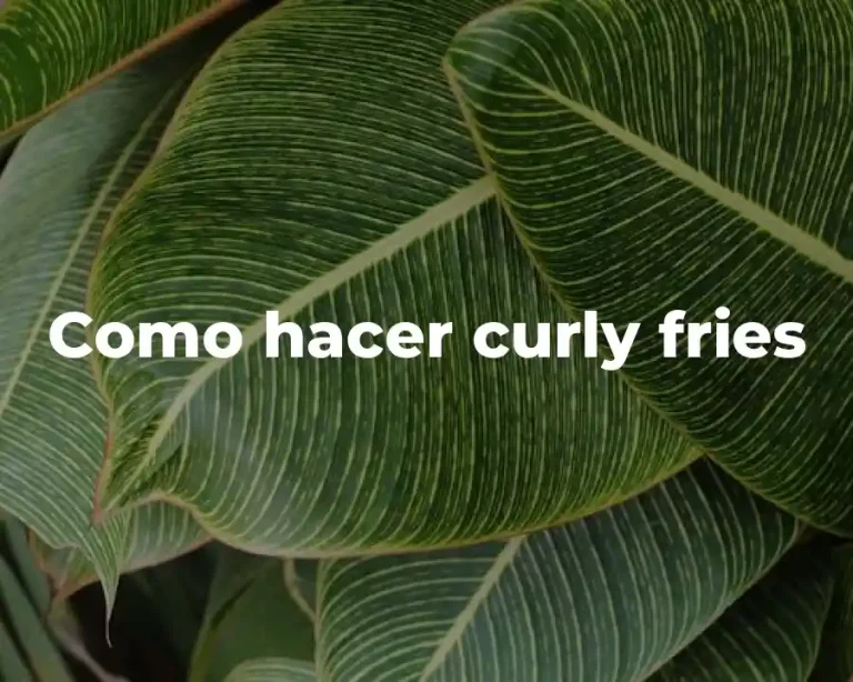 Como hacer curly fries