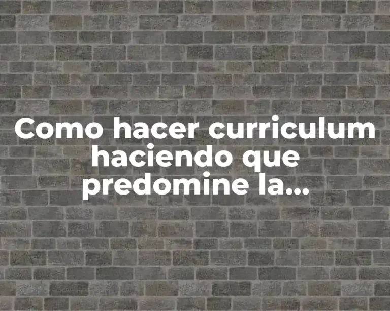 Como hacer curriculum haciendo que predomine la experiencia
