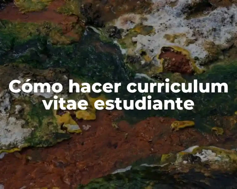 Cómo hacer curriculum vitae estudiante