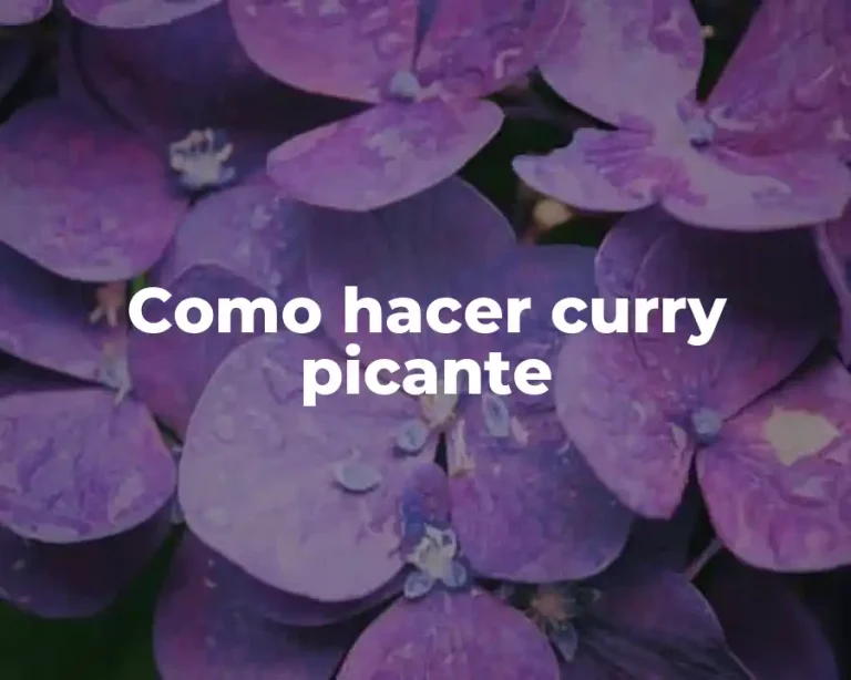 Como hacer curry picante