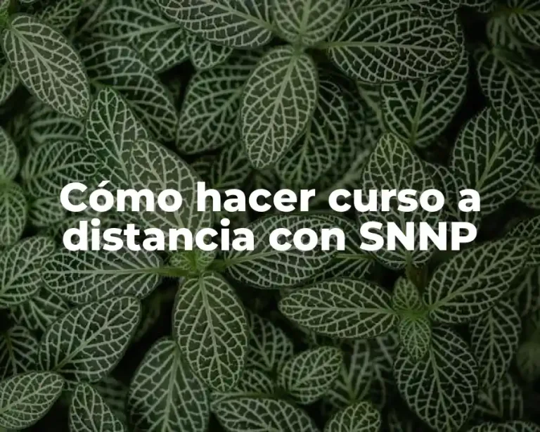 Cómo hacer curso a distancia con SNNP