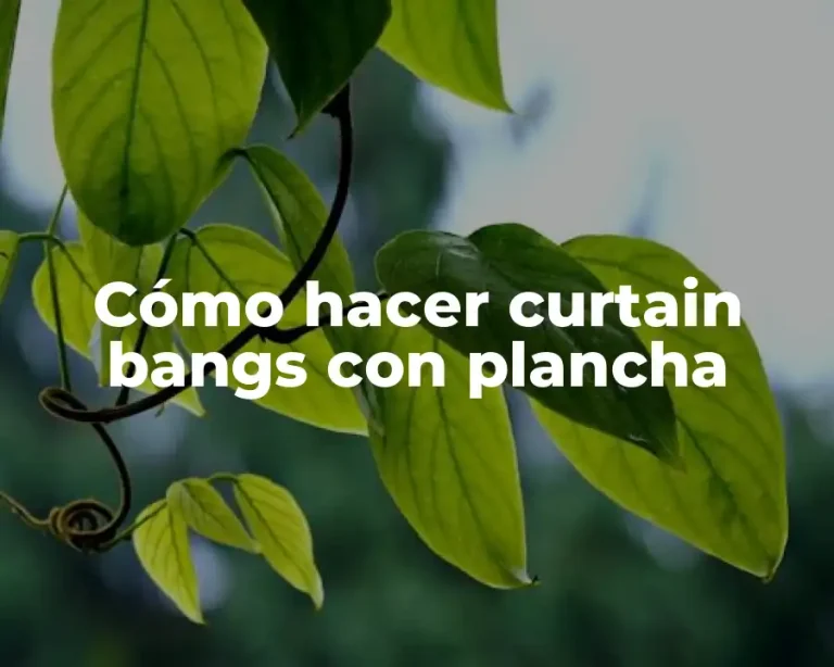 Cómo hacer curtain bangs con plancha