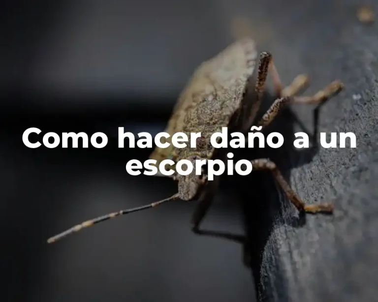 Como hacer daño a un escorpio