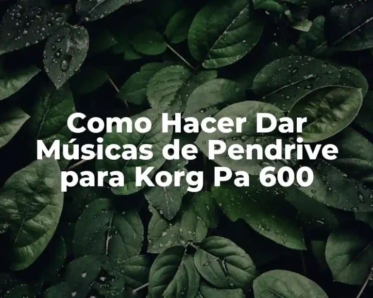 Como Hacer Dar Músicas de Pendrive para Korg Pa 600