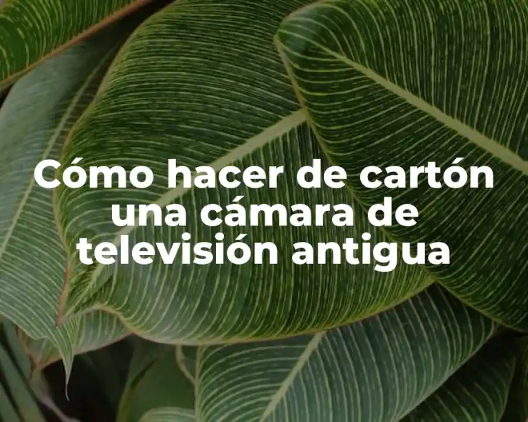 Cómo hacer de cartón una cámara de televisión antigua