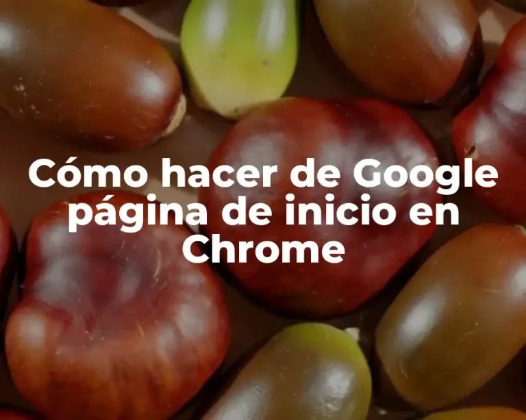 Cómo hacer de Google página de inicio en Chrome