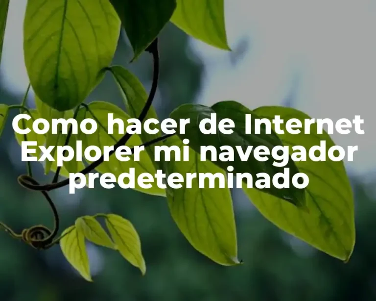 Como hacer de Internet Explorer mi navegador predeterminado