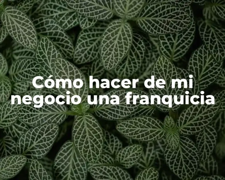 Cómo hacer de mi negocio una franquicia