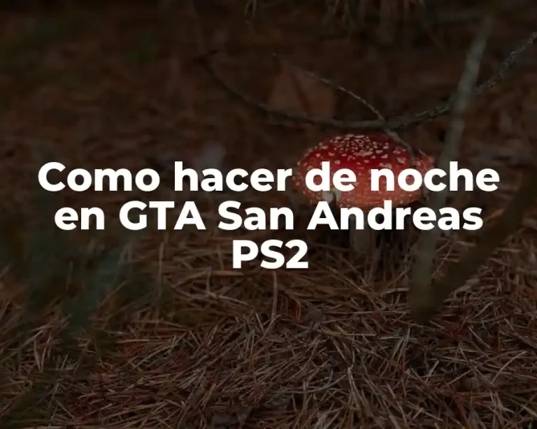 Como hacer de noche en GTA San Andreas PS2