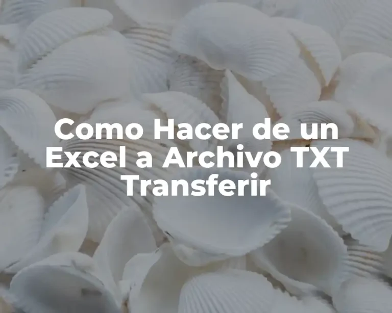 Como Hacer de un Excel a Archivo TXT Transferir