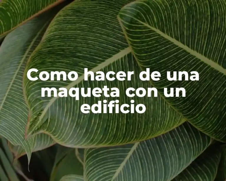 Como hacer de una maqueta con un edificio