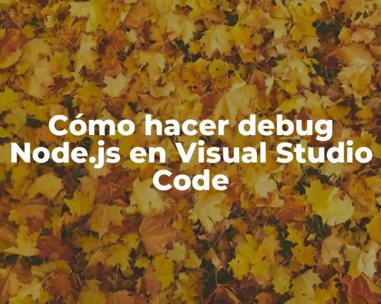 Cómo hacer debug Node.js en Visual Studio Code