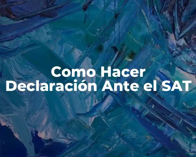 Como Hacer Declaración Ante el SAT