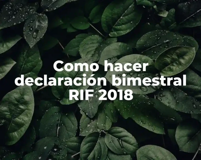 Como hacer declaración bimestral RIF 2018