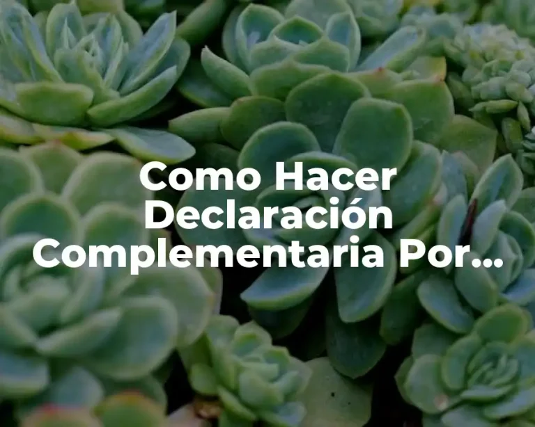 Como Hacer Declaración Complementaria Por Atrasos 2020