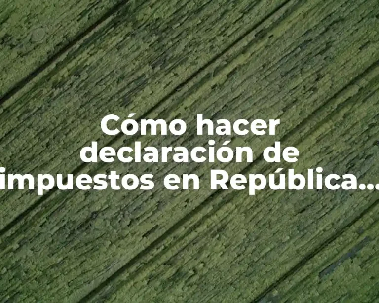 Cómo hacer declaración de impuestos en República Dominicana