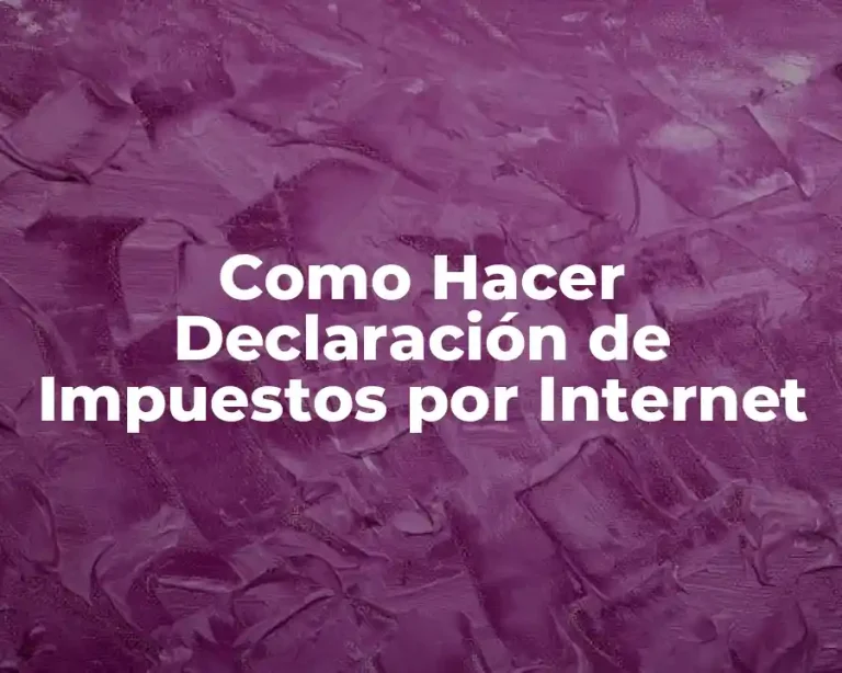 Como Hacer Declaración de Impuestos por Internet