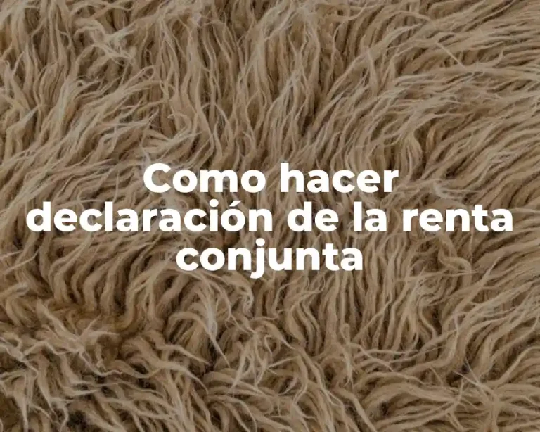 Como hacer declaración de la renta conjunta