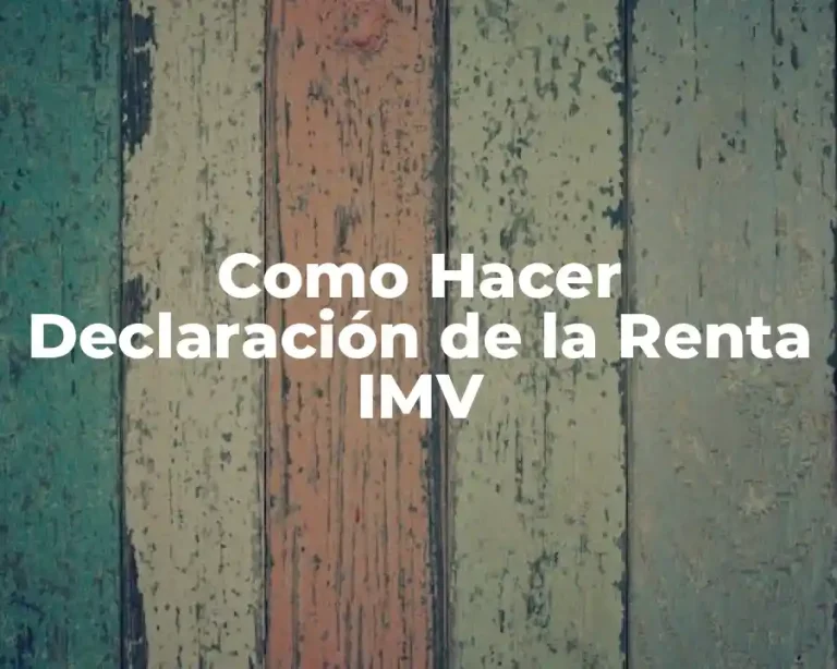 Como Hacer Declaración de la Renta IMV