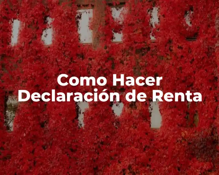 Como Hacer Declaración de Renta