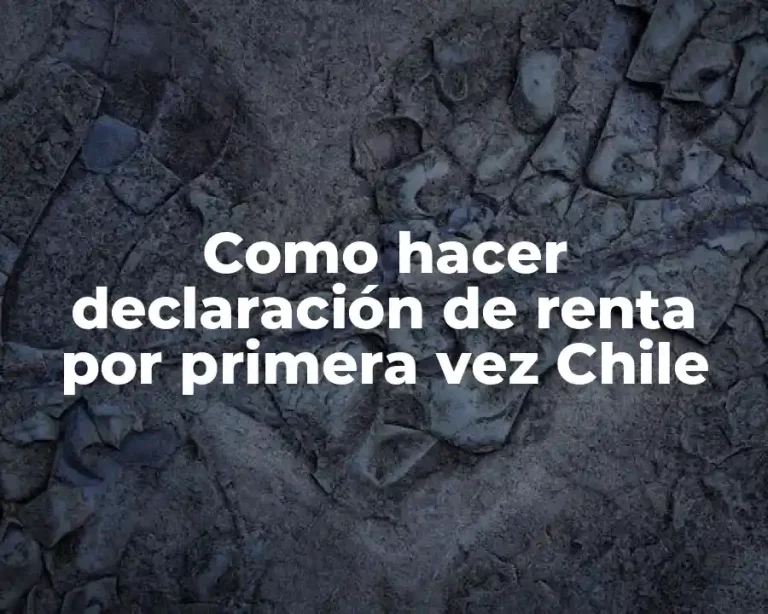 Como hacer declaración de renta por primera vez Chile