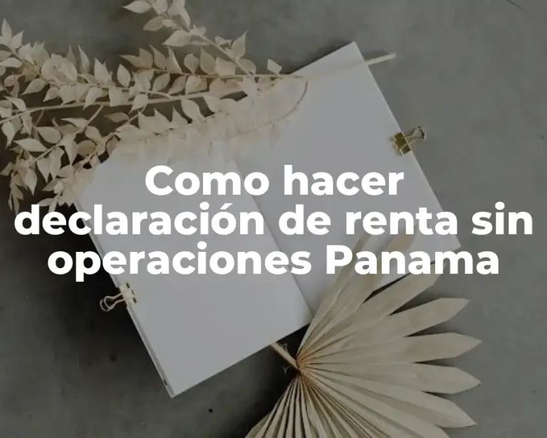 Como hacer declaración de renta sin operaciones Panama