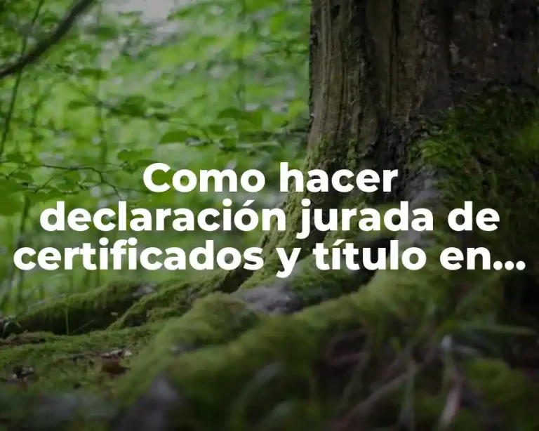 Como hacer declaración jurada de certificados y título en mecánica