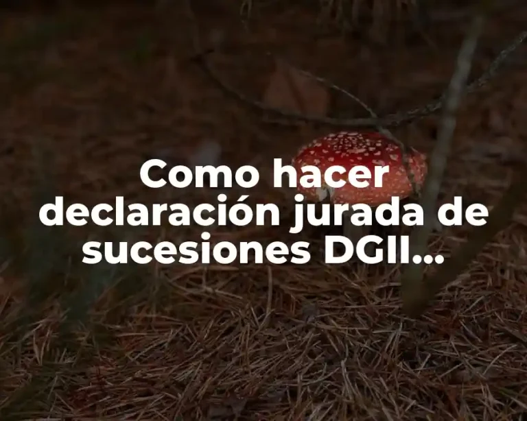 Como hacer declaración jurada de sucesiones DGII formulario