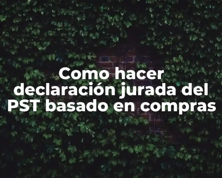 Como hacer declaración jurada del PST basado en compras