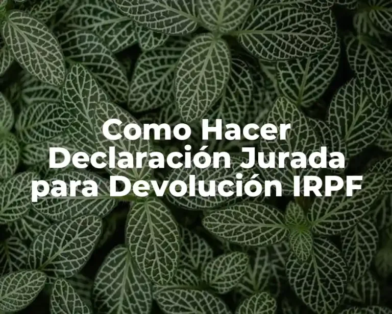 Como Hacer Declaración Jurada para Devolución IRPF