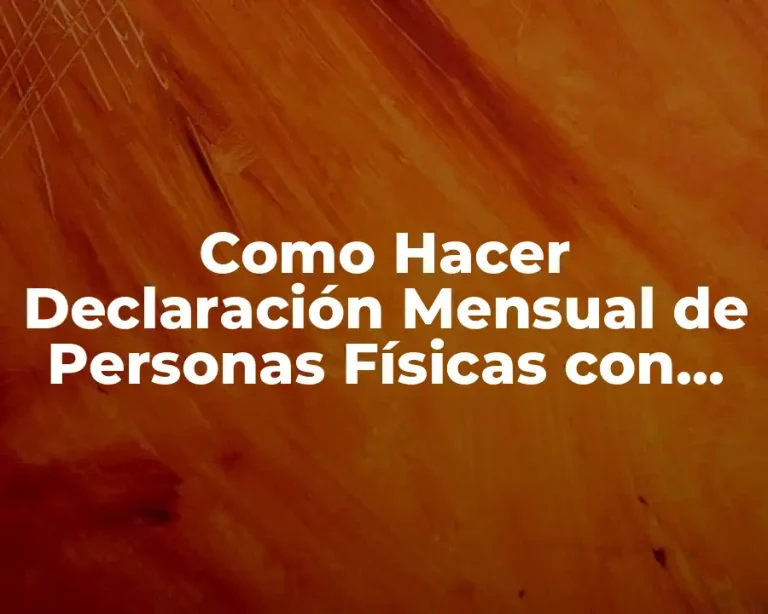 Como Hacer Declaración Mensual de Personas Físicas con Actividad Empresarial