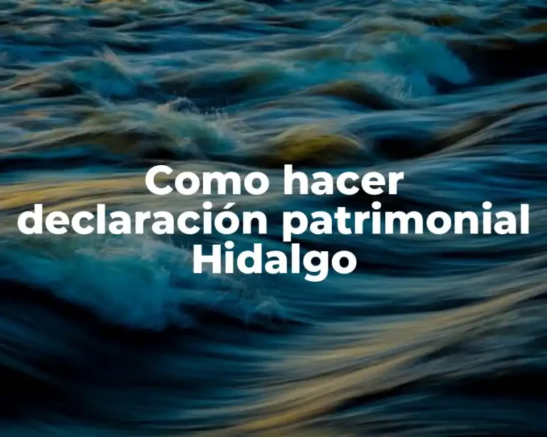 Como hacer declaración patrimonial Hidalgo