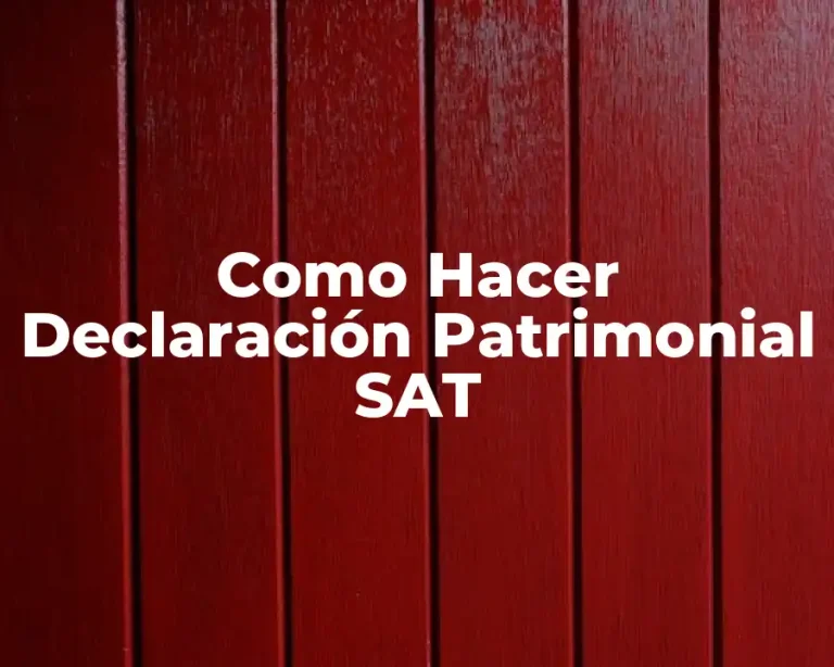 Como Hacer Declaración Patrimonial SAT