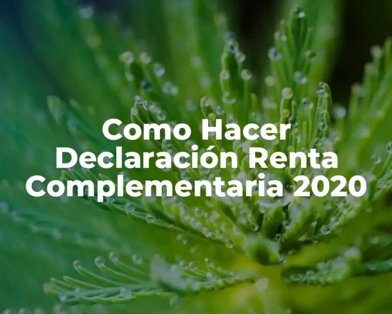 Como Hacer Declaración Renta Complementaria 2020