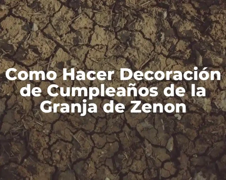 Como Hacer Decoración de Cumpleaños de la Granja de Zenon