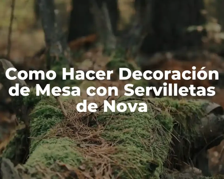 Como Hacer Decoración de Mesa con Servilletas de Nova
