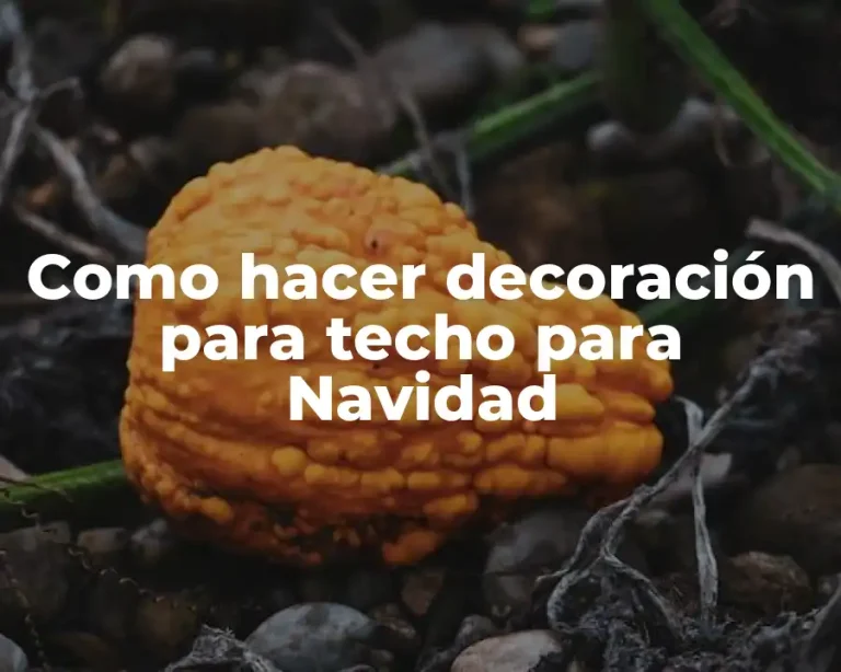 Como hacer decoración para techo para Navidad