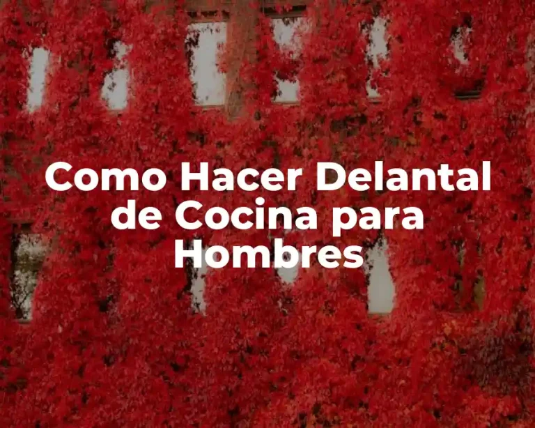 Como Hacer Delantal de Cocina para Hombres