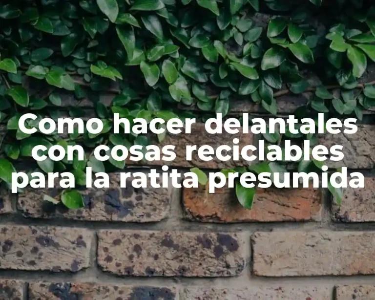 Como hacer delantales con cosas reciclables para la ratita presumida