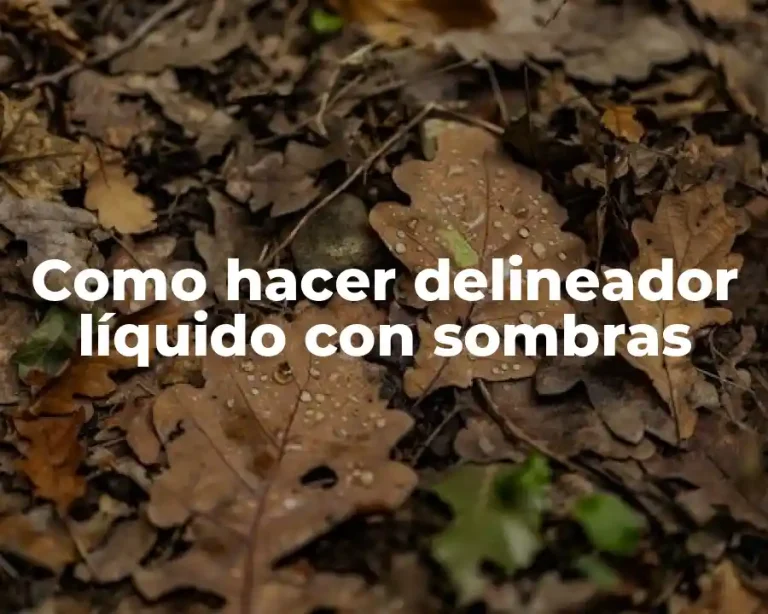 Como hacer delineador líquido con sombras
