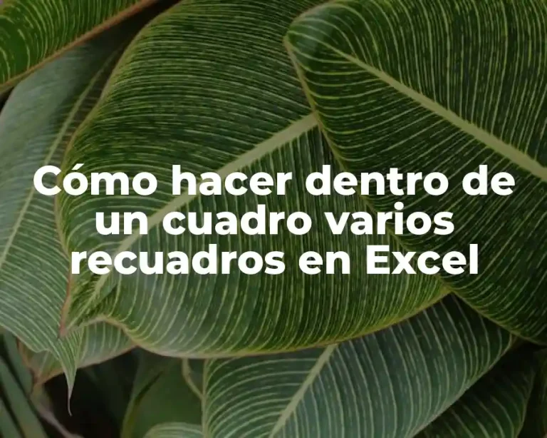 Cómo hacer dentro de un cuadro varios recuadros en Excel