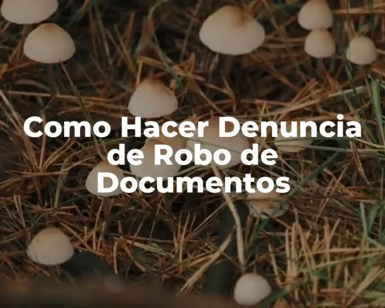 Como Hacer Denuncia de Robo de Documentos