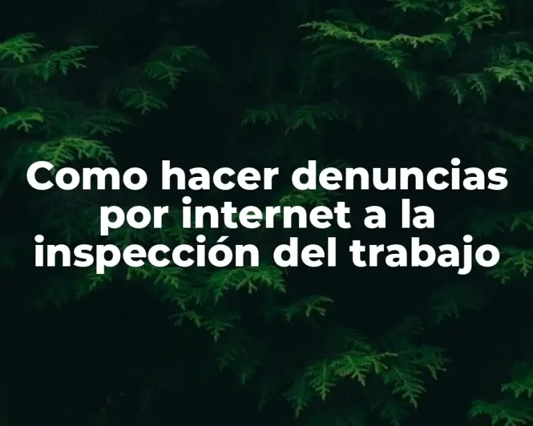 Como hacer denuncias por internet a la inspección del trabajo