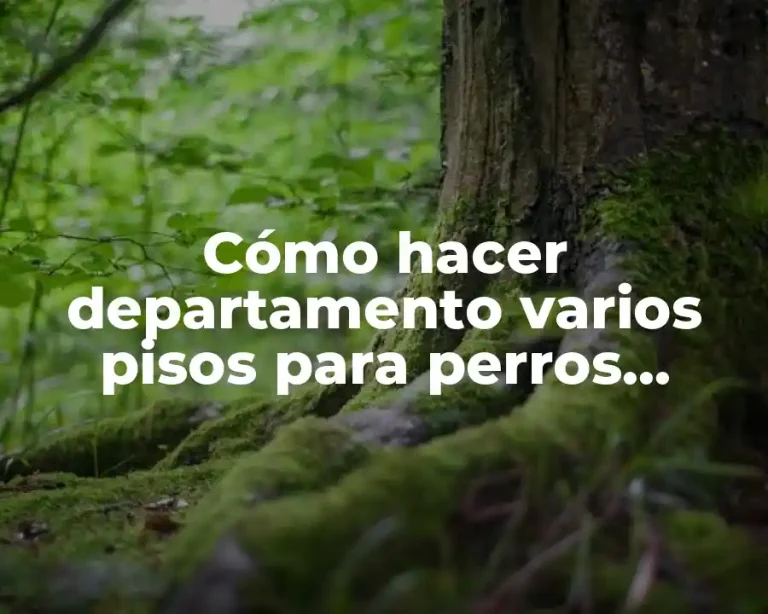 Cómo hacer departamento varios pisos para perros pequeños