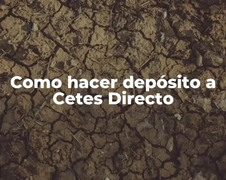 Como hacer depósito a Cetes Directo