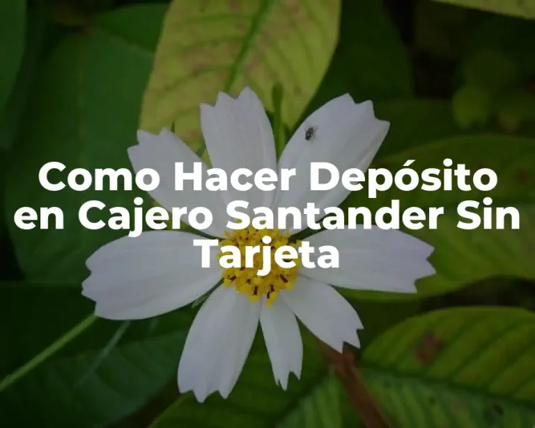 Como Hacer Depósito en Cajero Santander Sin Tarjeta
