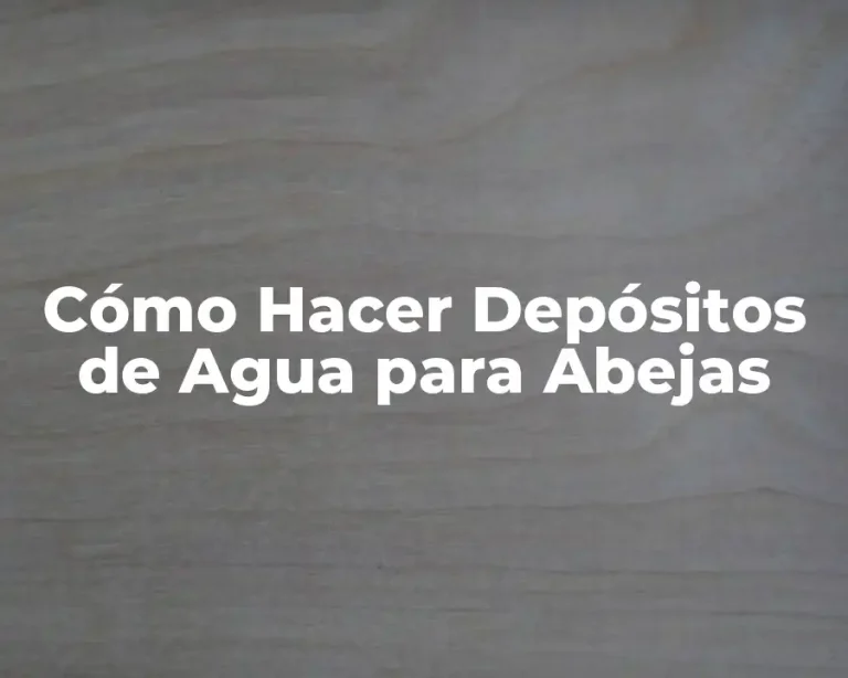Cómo Hacer Depósitos de Agua para Abejas