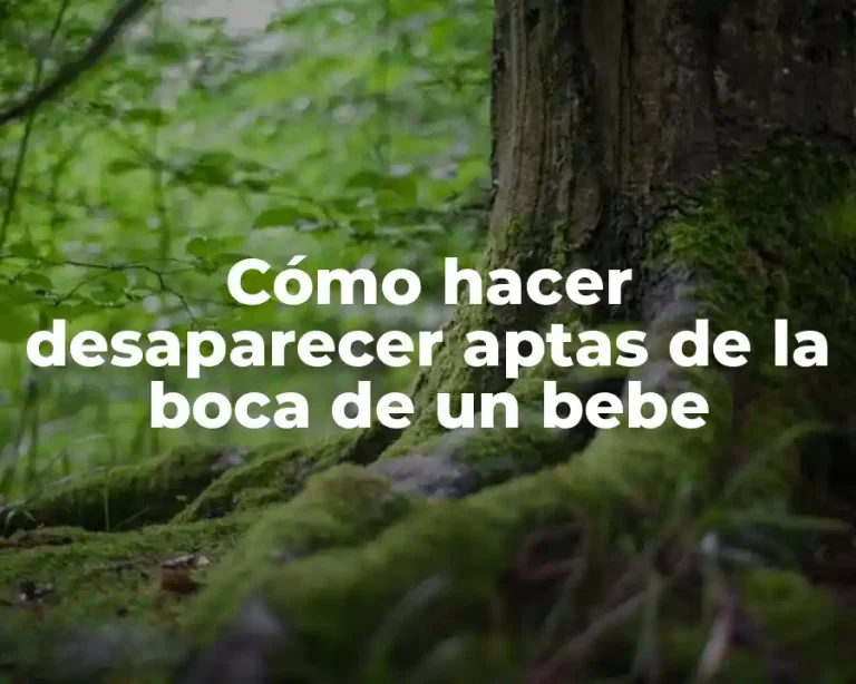 Cómo hacer desaparecer aptas de la boca de un bebe
