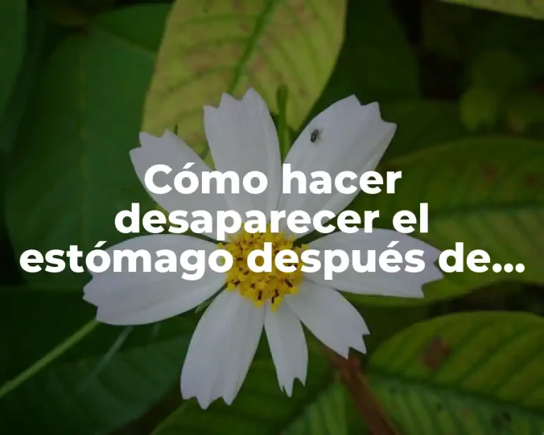 Cómo hacer desaparecer el estómago después de dar a luz